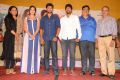 Majnu Telugu Movie Audio Success Meet Stills