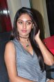 Actress Anu Emmanuel @ Majnu Movie Team at Radio Mirchi Photos