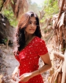 Petta Actress Malavika Mohanan Latest Photoshoot Stills