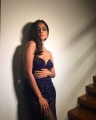 Petta Actress Malavika Mohanan Latest Photoshoot Stills