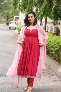 Anni Manchi Sakunamule Actress Malavika Nair Latest Pictures