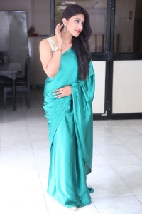 Actress Malavika Satheesan Saree Pics @ Bommala Koluvu Press Meet