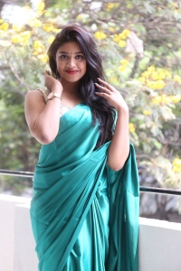 Bommala Koluvu Actress Malavika Satheesan Saree Hot Pics
