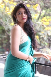 Bommala Koluvu Actress Malavika Satheesan Saree Hot Pics