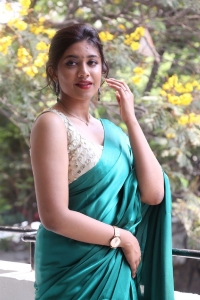 Bommala Koluvu Actress Malavika Satheesan Saree Hot Pics