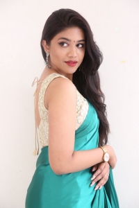 Bommala Koluvu Actress Malavika Satheesan Saree Pics