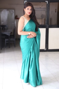 Actress Malavika Satheesan Saree Pics @ Bommala Koluvu Press Meet