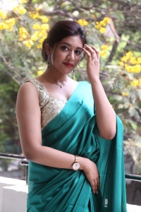 Bommala Koluvu Actress Malavika Satheesan Saree Pics