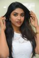 Actress Malavika Satheesan Photos @ Choosi Choodangane Press Meet