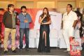 Malini & Co Movie Audio Launch Stills