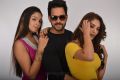 Angana Roy, Bharath, Ruhani Sharma in Malli Premisthe Movie Stills