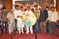 Malupu Movie Audio Launch Stills