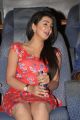 Actress Nikki Galrani @ Malupu Movie Press Meet Stills