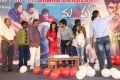 Malupu Movie Success Meet Stills