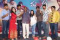 Malupu Movie Success Meet Stills