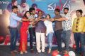 Malupu Movie Success Meet Stills