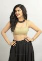 Nela Ticket Movie Actress Malvika Sharma Hot Photoshoot Pics HD