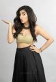 Nela Ticket Movie Heroine Malvika Sharma Hot Photoshoot Pics HD