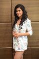 Actress Malvika Sharma Hot Stills @ Nela Ticket Movie Press Meet