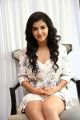 Actress Malvika Sharma Stills @ Nela Ticket Press Meet