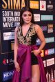 Actress Malvika Sharma Images @ SIIMA Awards 2018 Red Carpet (Day 2)