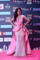 Actress Malvika Sharma Images @ SIIMA Awards 2018 Red Carpet