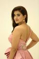 Telugu Actress Malavika Sharma New Photos