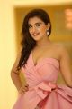 Actress Malvika Sharma Hot New Photos
