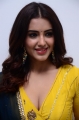 Red Movie Actress Malavika Sharma Interview Pics