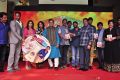 Mama Manchu Alludu Kanchu Audio Launch Stills