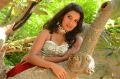 Actress Mamata Rawat Hot Images @ Maro Drushyam Movie Launch
