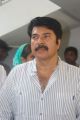 Mammootty Launches Motherhood Health Care Images
