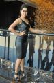 Actress Manali Rathod Hot Stills @ MLA Movie Success Meet