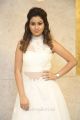 Actress Manali Rathod Pics @ MLA Pre Release Function