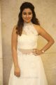 Actress Manali Rathod Pics @ MLA Pre Release Function