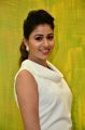 Manjula Rathod New Pics @ Apsara Ice Creams Launch