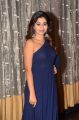 Telugu Actress Manali Rathod Pics in Blue Dress