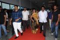 Manalo Okadu Million Clicks Celebrations Stills