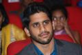 Naga Chaitanya @ Manam Movie 100 Days Celebration Stills