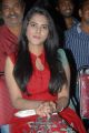 Telugu Actress Manasa Stills at Romance First Look Launch