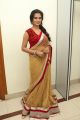 Actress Manasa Himavarsha Hot Transparent Saree Pics