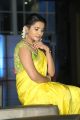 Actress Manasa Himavarsha in Yellow Saree Photos