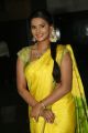 Actress Manasa Himavarsha in a Traditional Saree Photos