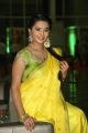 Actress Manasa Lemon Yellow Saree Photos