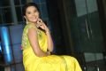 Actress Manasa Himavarsha in Yellow Saree Photos