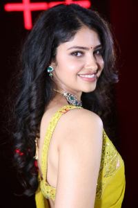 Devaki Nandana Vasudeva Heroine Manasa Varanasi Images