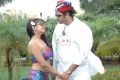 Prachee Adhikari, Sai Kiran in Manase Maaya Movie Stills