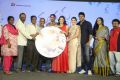 Manasuku Nachindi Audio Launch Stills