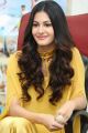 Manasuku Nachindi Heroine Amyra Dastur Interview Photos