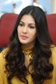 Manasuku Nachindi Actress Amyra Dastur Interview Photos